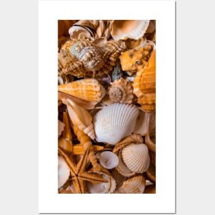 Summer Seashells Caribbean Sea Travel Relax Beach Yoga Posters and Art